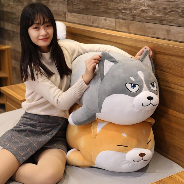 23cm 65cm 100cm plush husky shiba inu toy stuffed soft animal dog pillow cushion 100cm big size plush toys kids birthday gift wmtkcb mywjqq
23cm 65cm 100cm plush husky shiba inu toy stuffed soft animal dog pillow cushion 100cm big size plush toys kids birthday gift wmtkcb mywjqq