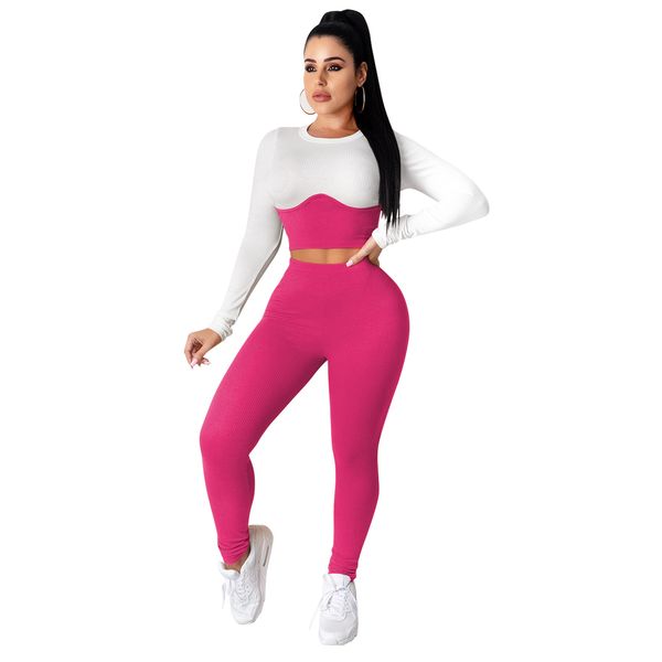 autumn and winter new long sleeve knitted tight temperament commute contrast color european and american pants suit for women, Gray
autumn and winter new long sleeve knitted tight temperament commute contrast color european and american pants suit for women, Gray