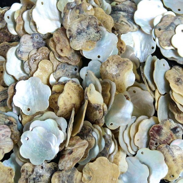 20pcs lot flower shape seashells nautical home decor natural shell pendants necklace diy shells for jewelry making accessories h jllxwm
20pcs lot flower shape seashells nautical home decor natural shell pendants necklace diy shells for jewelry making accessories h jllxwm