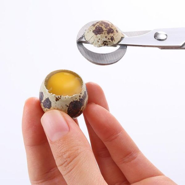 clipper egg cutter scissors egg gwc2637 home eggs scissors bird kitchen cutters for quail kitchen opener cracker stainless quail toosl urpq
clipper egg cutter scissors egg gwc2637 home eggs scissors bird kitchen cutters for quail kitchen opener cracker stainless quail toosl urpq