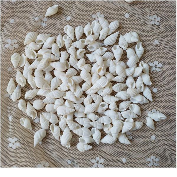 happykiss natural ornament conch shells white jade snail the white cat's eye screw the mediterranean home decoration a jlleul
happykiss natural ornament conch shells white jade snail the white cat's eye screw the mediterranean home decoration a jlleul