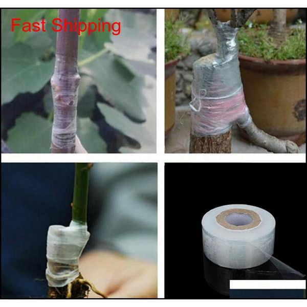 self-adhesive fruit tree grafting tape nursery stretchable garden flower vegetable grafting tapes supplies qylxms bde_luck
self-adhesive fruit tree grafting tape nursery stretchable garden flower vegetable grafting tapes supplies qylxms bde_luck