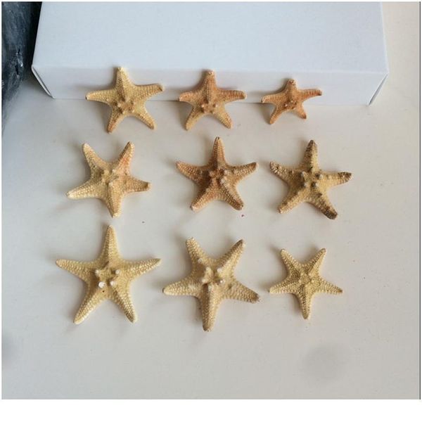 10pcs/set sea star star fish animal shell beach ornament for aquarium weddings party diy home decoration craft 3-4cm jlljqk
10pcs/set sea star star fish animal shell beach ornament for aquarium weddings party diy home decoration craft 3-4cm jlljqk