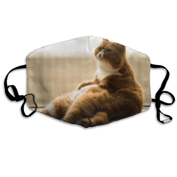 print mouth mask - fat cat relaxation art polyester anti-dust mouth-muffle - fashion washed reusable face masks for outdoor cycling
print mouth mask - fat cat relaxation art polyester anti-dust mouth-muffle - fashion washed reusable face masks for outdoor cycling