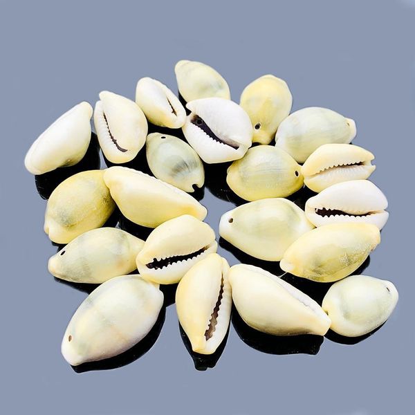 20pcs 24 30mm natural shell conch beads decor sea shells diy jewelry accessories handmade necklace shells for jewelry making h bbypky
20pcs 24 30mm natural shell conch beads decor sea shells diy jewelry accessories handmade necklace shells for jewelry making h bbypky