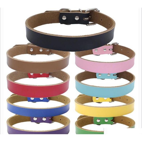 9 colors 4 sizes high grade pure cowhide pet collar real leather thickening dog chain traction rope dog accessories 100pcs ag9sl
9 colors 4 sizes high grade pure cowhide pet collar real leather thickening dog chain traction rope dog accessories 100pcs ag9sl
