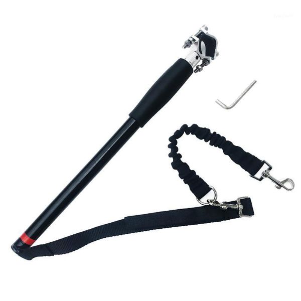 elastic dog bicycle traction belt running walk train for large small cat pets leashes dogs leash rope nylon1
elastic dog bicycle traction belt running walk train for large small cat pets leashes dogs leash rope nylon1