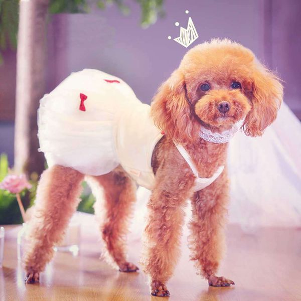 dog puffy skirt pet teddy than xiong bomei summer thin wedding sweet princs drs
dog puffy skirt pet teddy than xiong bomei summer thin wedding sweet princs drs