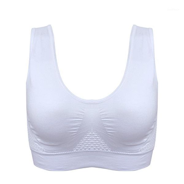 women's mesh breathable bra shockproof sponge mat seamless fitness bra push up sports1, White;black
women's mesh breathable bra shockproof sponge mat seamless fitness bra push up sports1, White;black