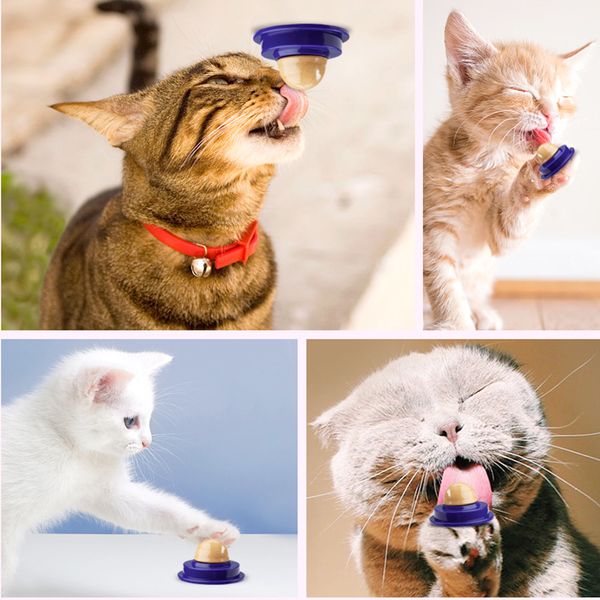 water dispenser, help tools, energy ball toys, cat health snacks, nutrition licking glue, sugar grass crawler
water dispenser, help tools, energy ball toys, cat health snacks, nutrition licking glue, sugar grass crawler