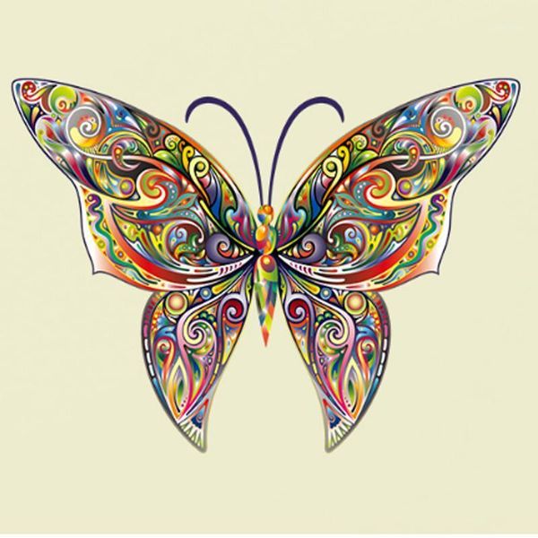 colorful 3d butterfly design wall art decal wall decor decals for living room bedroom tv sofa background decor mural1
colorful 3d butterfly design wall art decal wall decor decals for living room bedroom tv sofa background decor mural1