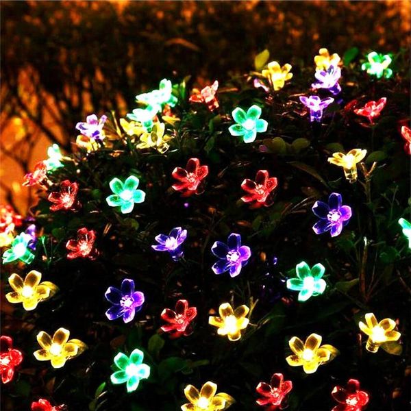 eclh 5m 7m 12m 22m peach flower solar lamp power led string fairy lighs 1.2v solar garlands garden christmas decor for swy qylmwe bdesybag
eclh 5m 7m 12m 22m peach flower solar lamp power led string fairy lighs 1.2v solar garlands garden christmas decor for swy qylmwe bdesybag