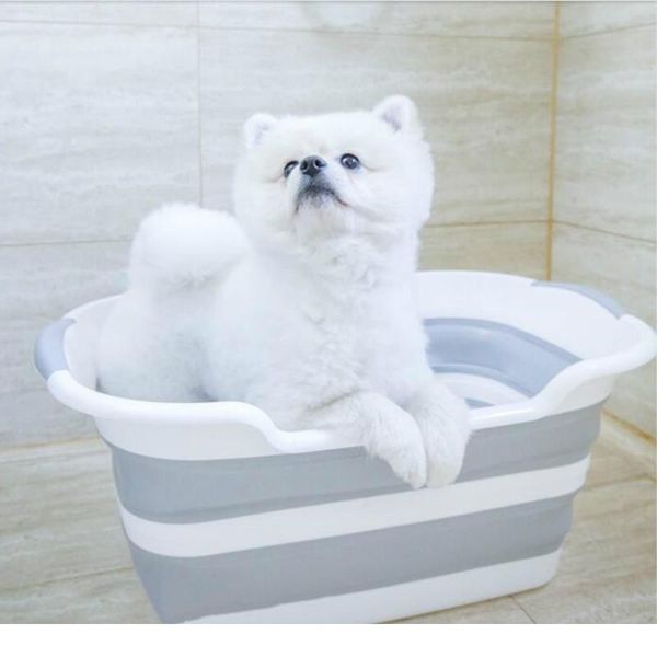 folding baby bathtub pet bath tubs baby shower portable sile non-slip cat dog bath tubs newborn supplies bathroom ac sqcgbc
folding baby bathtub pet bath tubs baby shower portable sile non-slip cat dog bath tubs newborn supplies bathroom ac sqcgbc