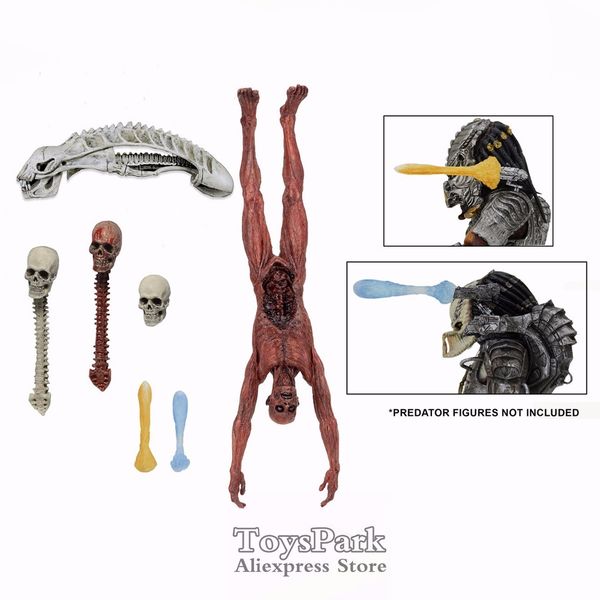neca predator deluxe accessory pack 7" scale plasma cannon blast effects skinned victim xenomorph trophy skull human spines 1008
neca predator deluxe accessory pack 7" scale plasma cannon blast effects skinned victim xenomorph trophy skull human spines 1008