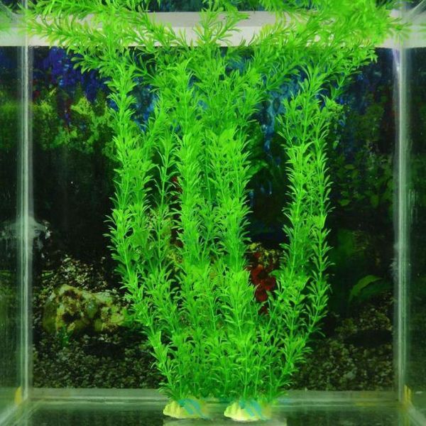 plastic artificial grass decoration water fish tank landscape simulation of water plants oxygen bubble mini sea plant
plastic artificial grass decoration water fish tank landscape simulation of water plants oxygen bubble mini sea plant