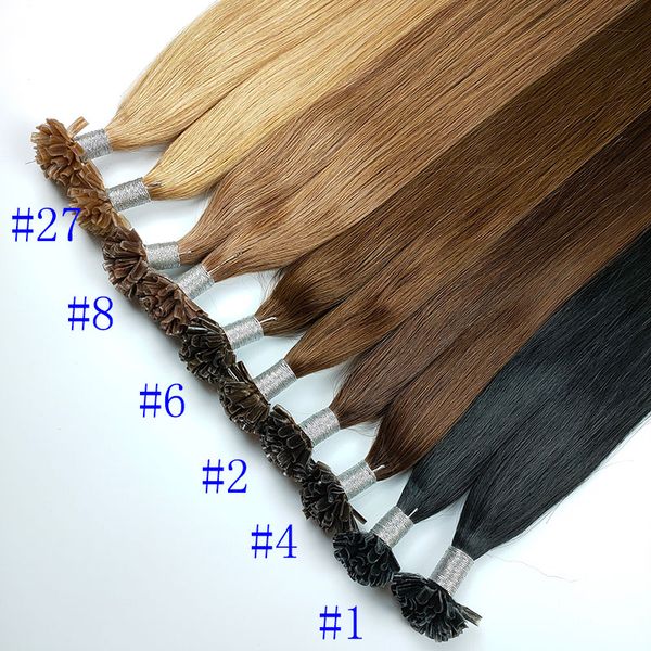 dropshipping virgin remy human hair 1g strand fusion nail u tip virgin remy human hair extensions
dropshipping virgin remy human hair 1g strand fusion nail u tip virgin remy human hair extensions