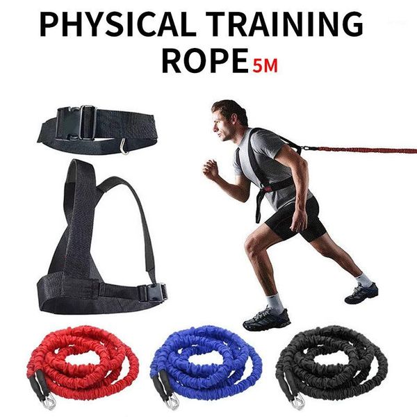 resistance bands 5meters fitness belt exercises gym workout training pull rope rubber elastic band for home gyms 1
resistance bands 5meters fitness belt exercises gym workout training pull rope rubber elastic band for home gyms 1