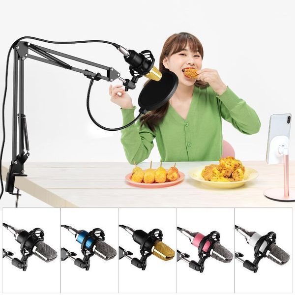 microphones professional broadcasting studio recording condenser microphone kit with mic windscreen + mount adjustable suspension1
microphones professional broadcasting studio recording condenser microphone kit with mic windscreen + mount adjustable suspension1