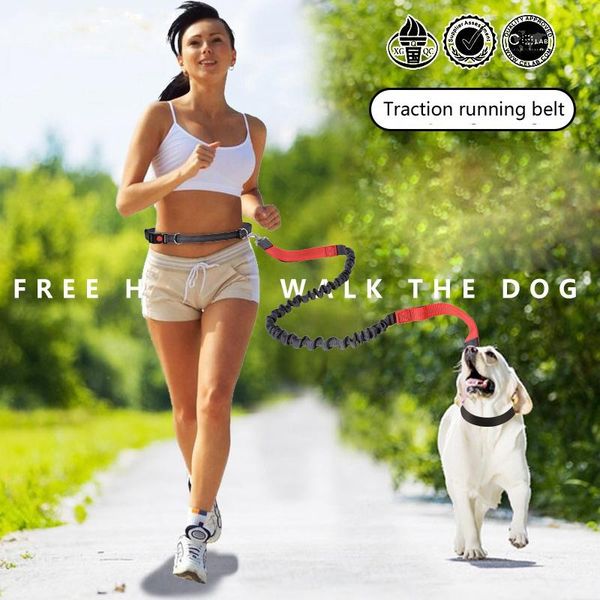 dog collars & leashes fashion simple portable fitness belt nylon rope sports pet supplies running reflective traction
dog collars & leashes fashion simple portable fitness belt nylon rope sports pet supplies running reflective traction