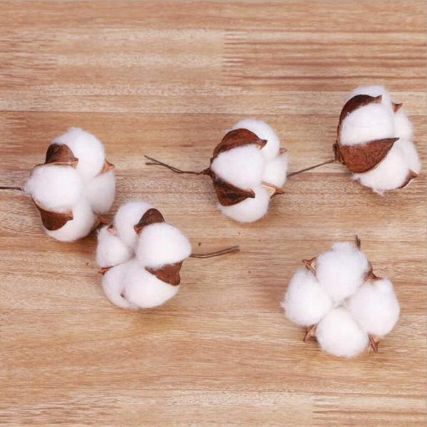 5pcs artificial flower kapok cotton head for wedding christmas home decoration diy craft wreath scrapbook natural dried jllkta
5pcs artificial flower kapok cotton head for wedding christmas home decoration diy craft wreath scrapbook natural dried jllkta