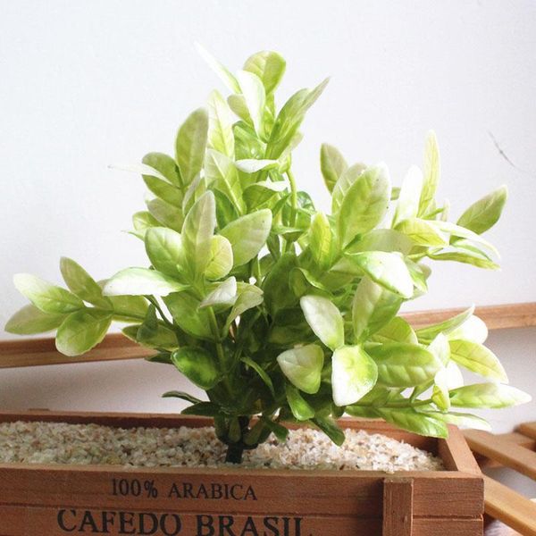 decorative flowers & wreaths fake plant artificial plants simulation 1pcs green grass decorate for wedding home garden plastic grass1
decorative flowers & wreaths fake plant artificial plants simulation 1pcs green grass decorate for wedding home garden plastic grass1