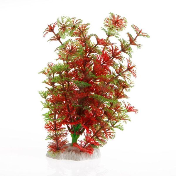 decorations plastic artificial plant water grass aquarium fish tank ornament decoration
decorations plastic artificial plant water grass aquarium fish tank ornament decoration