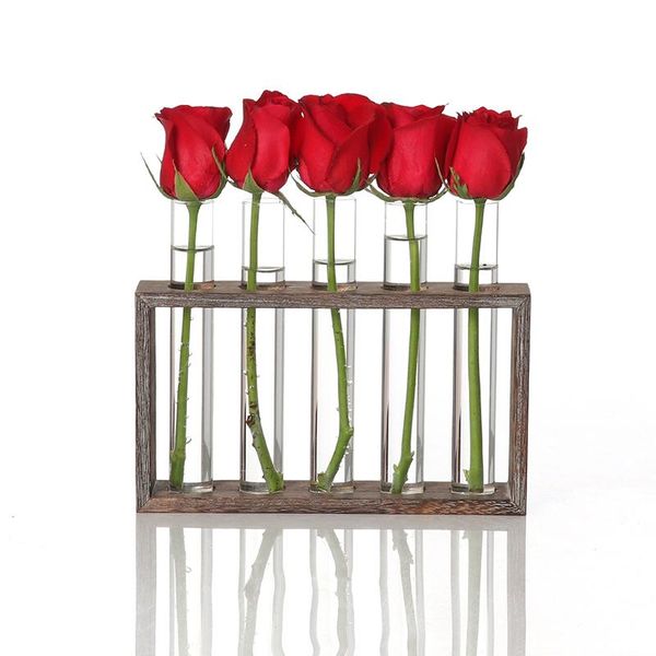water planting glass vase, test tube planter modern flower with retro solid wooden stand tabletop
water planting glass vase, test tube planter modern flower with retro solid wooden stand tabletop