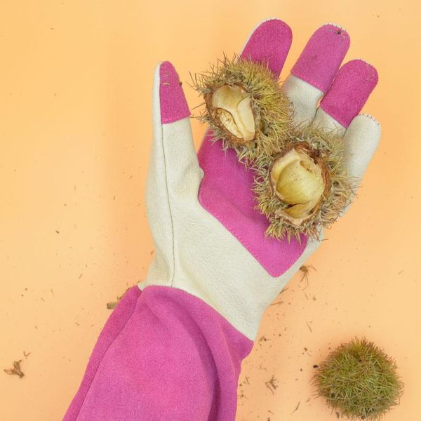 five fingers gloves rose pruning for women, long thorn proof gardening gloves, breathable pigskin leather gauntlet, garden gifts & tools, Blue;gray
five fingers gloves rose pruning for women, long thorn proof gardening gloves, breathable pigskin leather gauntlet, garden gifts & tools, Blue;gray