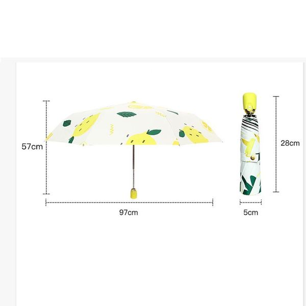 uv matic umbrella rain three fold thickened umbrella black glue sunscreen sun umbrella green women clear b04 bbyrax lipper
uv matic umbrella rain three fold thickened umbrella black glue sunscreen sun umbrella green women clear b04 bbyrax lipper