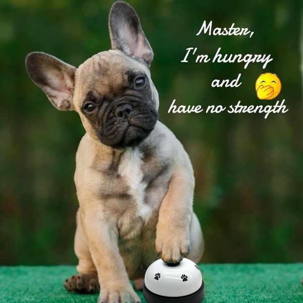 pet dog training potty bells toy puppy cat educational toys iq interactive bell for potty training and communication jllwpx
pet dog training potty bells toy puppy cat educational toys iq interactive bell for potty training and communication jllwpx