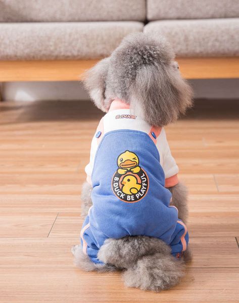 pet cloth four legged cotton padded tea cup teddy bear bomei autumn winter new year yorkshire junjie dog
pet cloth four legged cotton padded tea cup teddy bear bomei autumn winter new year yorkshire junjie dog