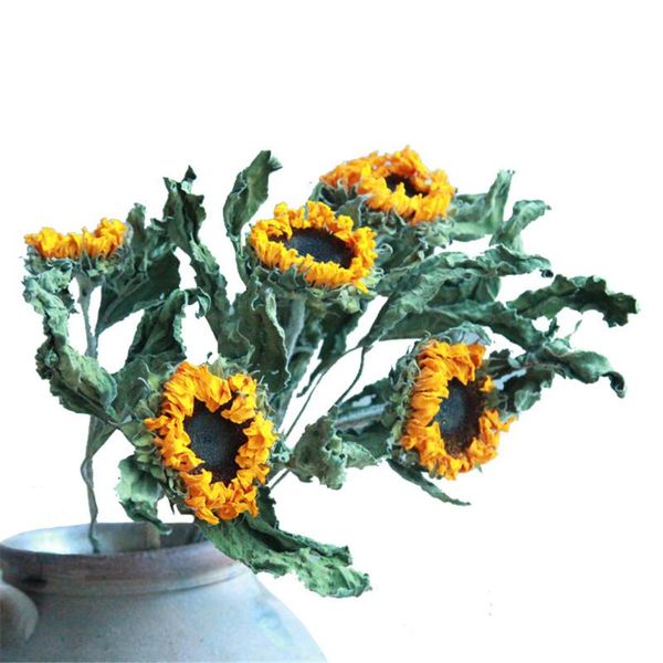 4 pcs natural original dried decor sunflowers real sunflowers home wedding diy decor flowers
4 pcs natural original dried decor sunflowers real sunflowers home wedding diy decor flowers