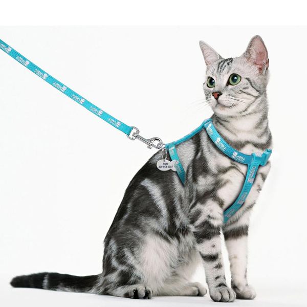 4 colors nylon reflective cat puppy harness leash lead set walking adjustable pet traction vest belt for cat kitten gif bbyhcp
4 colors nylon reflective cat puppy harness leash lead set walking adjustable pet traction vest belt for cat kitten gif bbyhcp