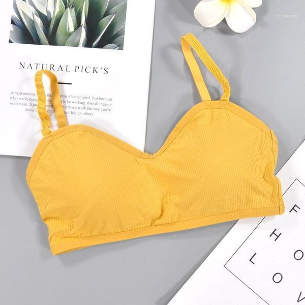 gym clothing underwear push up sports bra girl jogging fitness cotton solid women running yoga sport bras women1, White;black
gym clothing underwear push up sports bra girl jogging fitness cotton solid women running yoga sport bras women1, White;black