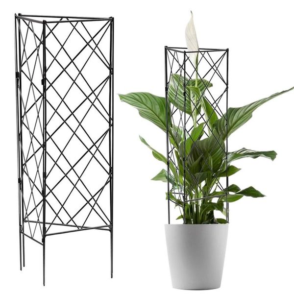 3pcs plant climbing grid frame metal climbing flower support frame foldable flower support plant pillar 20x53cm
3pcs plant climbing grid frame metal climbing flower support frame foldable flower support plant pillar 20x53cm