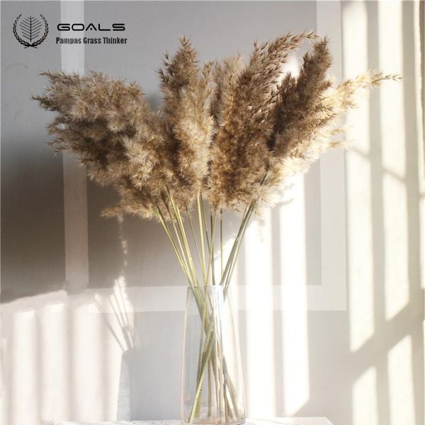 10pcs 20pcs dried pampas grass decor wedding flower bunch natural plants for home christmas decorati wmtzya
10pcs 20pcs dried pampas grass decor wedding flower bunch natural plants for home christmas decorati wmtzya
