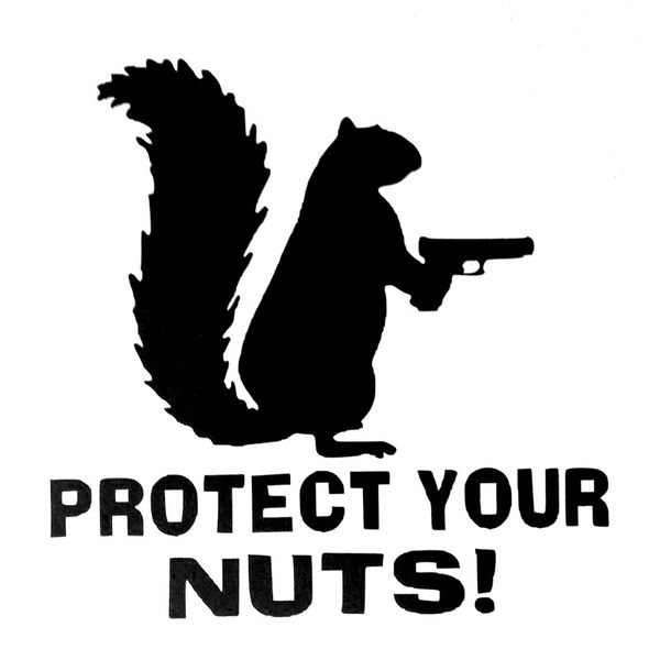 12.9cm*12.7cm protect your nuts squirrel police army navy marines car stickers and decals creative sticker black sliver c8-0909
12.9cm*12.7cm protect your nuts squirrel police army navy marines car stickers and decals creative sticker black sliver c8-0909