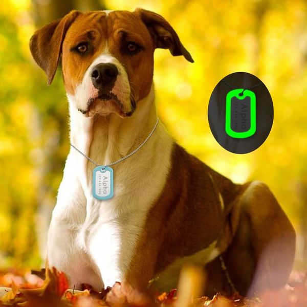 personalized pet dog id tag glowing custom engraved dogs name tags anti-lost engraving luminous pet namepl sqcxvn
personalized pet dog id tag glowing custom engraved dogs name tags anti-lost engraving luminous pet namepl sqcxvn