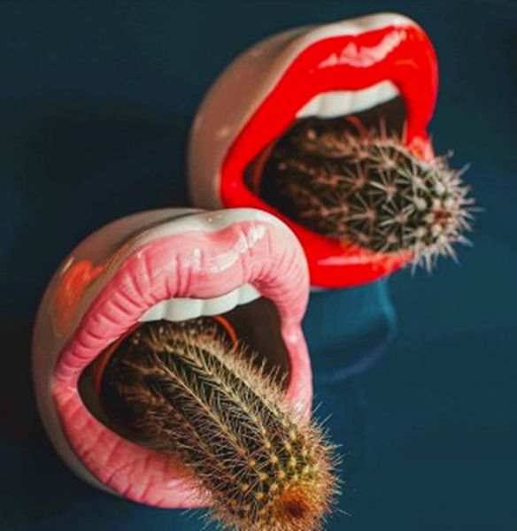 ceramic flower pot crafts vase ceramic lips planter mouth gift green plant container ashtray home decoration
ceramic flower pot crafts vase ceramic lips planter mouth gift green plant container ashtray home decoration