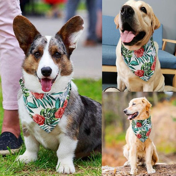 cute dog bandana scarf summer printed pet bandana bib for small medium dogs cotton washable dog acc wmtujc
cute dog bandana scarf summer printed pet bandana bib for small medium dogs cotton washable dog acc wmtujc