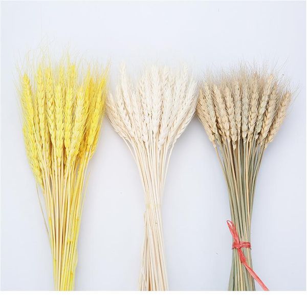 50pcs/lot natural dried flower wheat ears bouquet for wedding party decoration diy craft home decor scrapbook wheat bran bbyxli
50pcs/lot natural dried flower wheat ears bouquet for wedding party decoration diy craft home decor scrapbook wheat bran bbyxli