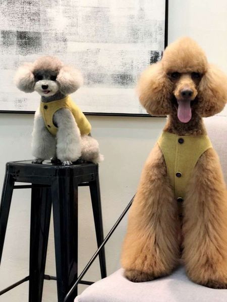 gupipi parent-child attire teddy schnauzer chai hugui large dog pet clothing vt spring and autumn
gupipi parent-child attire teddy schnauzer chai hugui large dog pet clothing vt spring and autumn