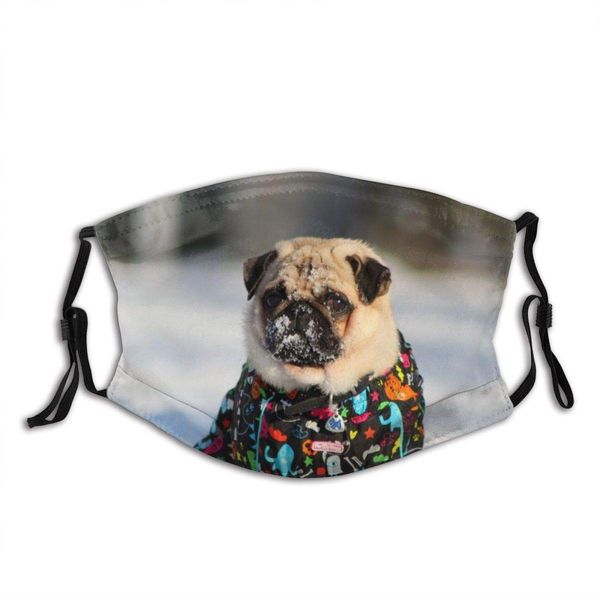 comfortable adjustable colorful pug dog face mask with carbon filters protective masks for men and women
comfortable adjustable colorful pug dog face mask with carbon filters protective masks for men and women
