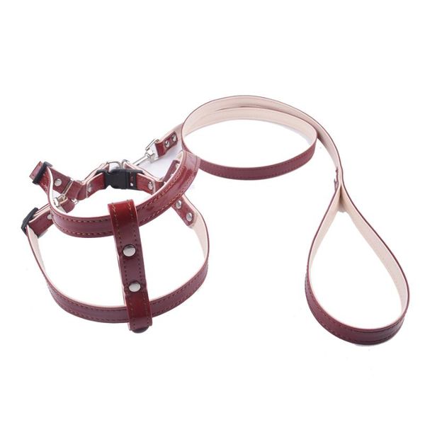 dog collars & leashes puppy harness sets for small dogs pet walking leads halter harnesses chihuahua yorkshire products
dog collars & leashes puppy harness sets for small dogs pet walking leads halter harnesses chihuahua yorkshire products