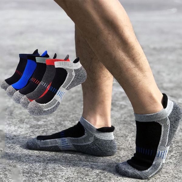 men's basketball socks cotton thick towel bottom boat socks outdoor sports running short1, Black
men's basketball socks cotton thick towel bottom boat socks outdoor sports running short1, Black