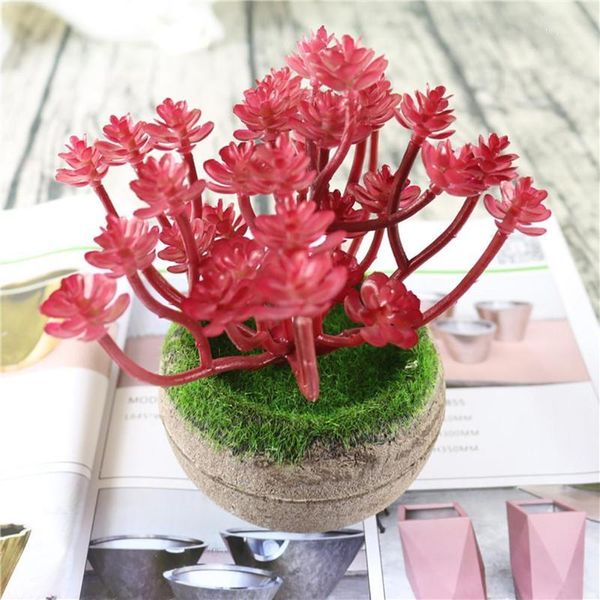 decorative flowers & wreaths 1pc plastic fake artificial succulents plant bonsai garden home office decor1
decorative flowers & wreaths 1pc plastic fake artificial succulents plant bonsai garden home office decor1