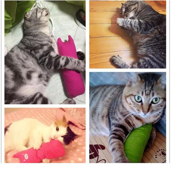 cute cat toy funny interactive plush creative plush pillow popular high quanlity catnip toy teeth grinding cute pet scra jllikq
cute cat toy funny interactive plush creative plush pillow popular high quanlity catnip toy teeth grinding cute pet scra jllikq