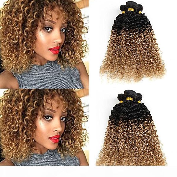 8a brazilian ombre color kinky curly hair 3pcs lot 100g pc human hair extension ombre 100% curly virgin hair weave ing, Black;brown
8a brazilian ombre color kinky curly hair 3pcs lot 100g pc human hair extension ombre 100% curly virgin hair weave ing, Black;brown