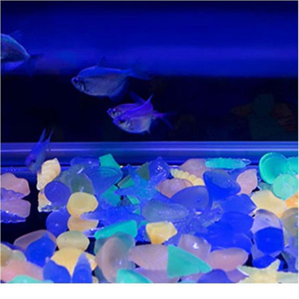 80pcs/set resin garden shell shaped outdoor pebbles pool glowing stones landscape luminous colorful conch fish tank jlldyo
80pcs/set resin garden shell shaped outdoor pebbles pool glowing stones landscape luminous colorful conch fish tank jlldyo