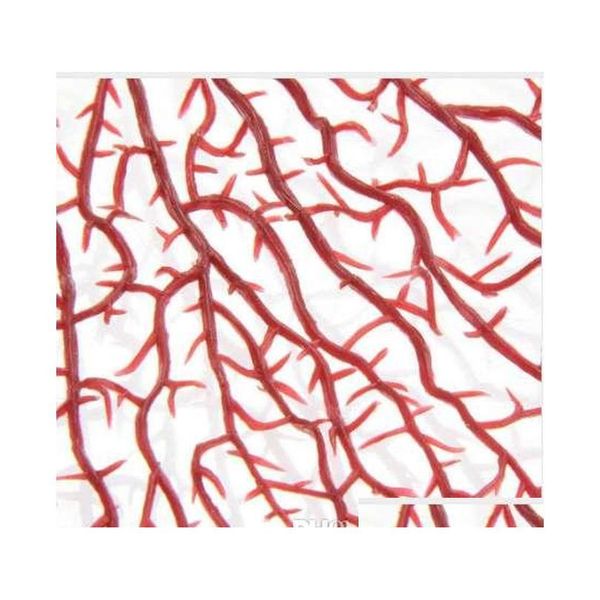 fish tank artificial plastic plant coral tree aquarium decoration soft ornament re qylkte dh_seller2010
fish tank artificial plastic plant coral tree aquarium decoration soft ornament re qylkte dh_seller2010